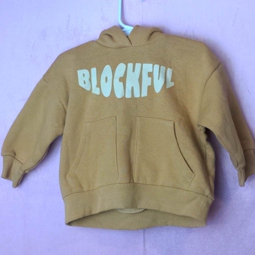 Zara Blockful Neutral Tan Hoodie size 9-12 Months